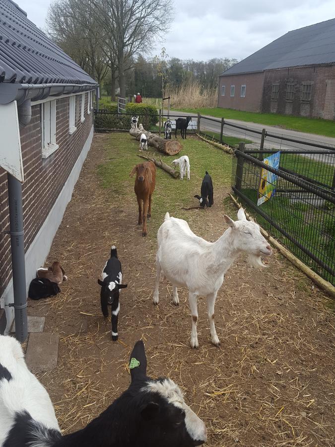 De Priesnitzhoeve Laag-Soeren Extérieur photo